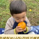 진산대로 이미지