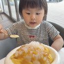전주 만성동 카페 코코호도 : 망고빙수 후기