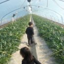 식이네농장 이미지