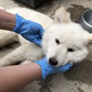 매화파출소 이미지