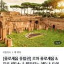 [이탈리아 여행] 로마 콜로세움 지하 입장권 예약 꿀팁 및 가이드투어, 대행사 예약 등