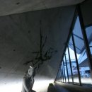 미르치과병원 이미지