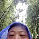 관방천민박 | 담양 가볼만한곳 죽녹원 피톤치드로 힐링힐링