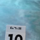 해운대대구탕 이미지