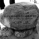 산비나 이미지