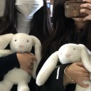 카페모이라 이미지