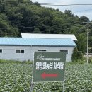 행복한 농부의집 다올 | 식당! 비건 뿐만 아니라 일반인들도 끌리는 건강한 밥상 ‘류근모와 열명의 농부 채식당’ 또간집 방문기 🍃