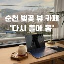 순천 벚꽃뷰 카페 추천 🌸 &#39;다시돌아봄&#39; 후기 (+메뉴, 고양이, 강변뷰까지!)