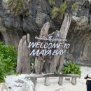 몽키세탁소 | 피피섬 투어 반일투어 시세 업체 선정방법