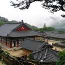 해인사 티스토리
