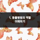 큰사랑동물병원 이미지