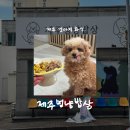 제주멍냥밥상 | [반려동물/제주] 제주멍냥밥상 • 제주강아지화식 • 반려동물수제간식