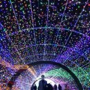 나오늘어때 - 광산구 | 나오늘어때