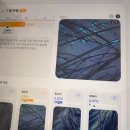 포항시북구79 | 포항 두피관리 | ‘모생떼 헤드스파’ 포레스트 힐링스파 후기