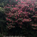 원희농장 | 내가 네번째로 사랑하는 계절