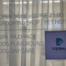 마마독스 애견호텔 이미지