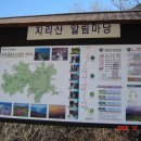 천년송가는길 이미지