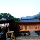 표충사매표소앞 이미지