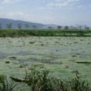 맥도생태공원 이미지