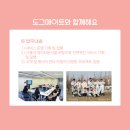 커몽도그 이미지