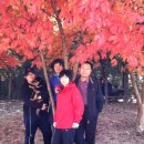 가족나들이 이미지