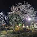 하비스트키즈풀빌라 이미지