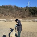 수현목장 이미지