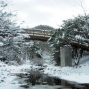 용현자연휴양림 이미지