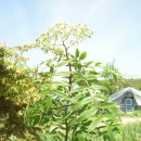 목인농장 이미지