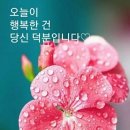 9월 첫날 아침 인사 와 좋은 글 그리고 비오는 날 이미지