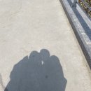 당구명가 | 부산 여행 셋째 날
