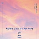 홀리졸리 - 수성구 | 홀리졸리