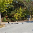 (주)디에스에너지 이미지