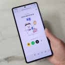 강아지운동장 포동 멍래블 영종 멜리플루어스 대여후기