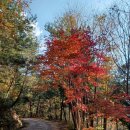 생태숲민박 이미지