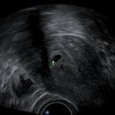 제이랑여성의원 이미지