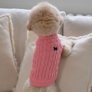 도그니엘 이미지