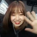 이쁘댕 이미지