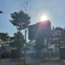 울산대공원 수영장(아쿠아시스) 일일자유수영 후기