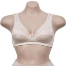 모닝글로리 이미지