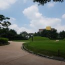 삼성전자 맞은편 공원 이미지