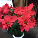 구리문화재단 2023 신년음악회 이미지