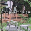 피노키오 | 애견동반 카라반 추천｜피노키오캠핑장 숙박 후기, 바베큐·불멍·계곡 물놀이까지