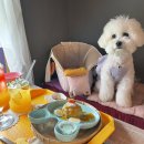 니나노 제주 이미지