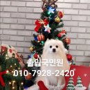 국제VISA전문행정사 사무소 이미지