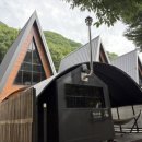 별을 담은 숲 이미지