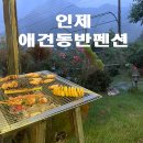 애견펜션하루강아지 | [강원도 애견동반 추천] 인체 내린천아름펜션 후기, 강아지랑 힐링하기 좋은 숙소