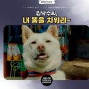 하남애견훈련소 이미지