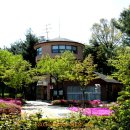 장미매점 이미지