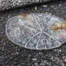 안경산책 이미지